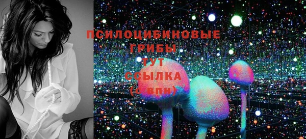 ГАЛЛЮЦИНОГЕННЫЕ ГРИБЫ Алексеевка