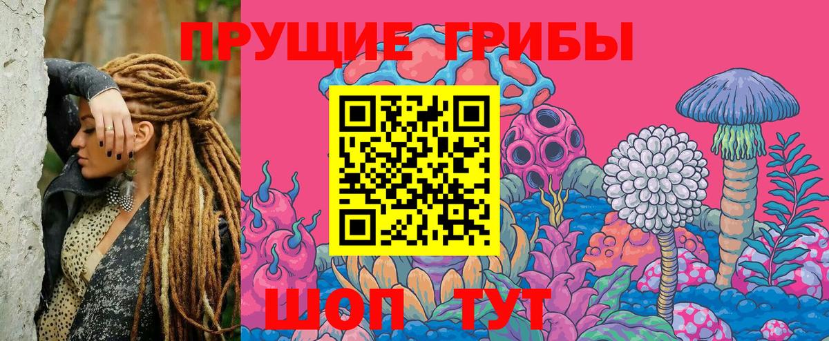 Псилоцибиновые грибы Cubensis  Галлюциногенные грибы Cubensis  Нижний Новгород  Вход с VPN 