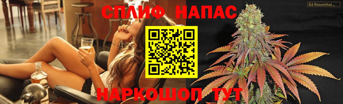 Канабис гибрид Нижний Новгород